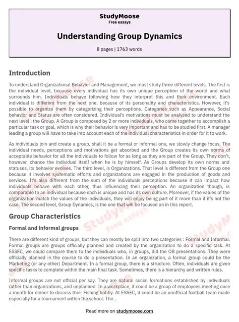 group dynamics essay
